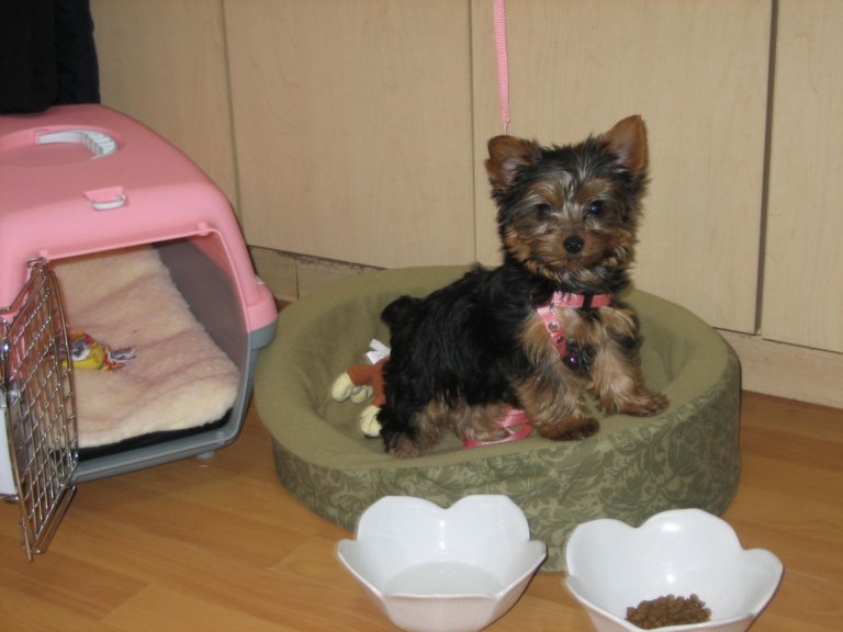 [2JMCg5fk1RHZadCKG7CDlf8Hw+R8mLr+0300.jpg]