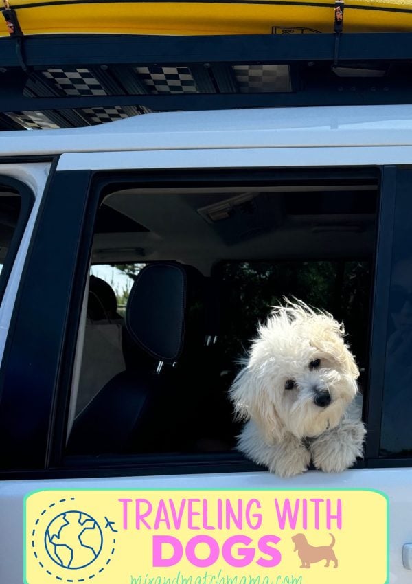 Traveling With Dogs