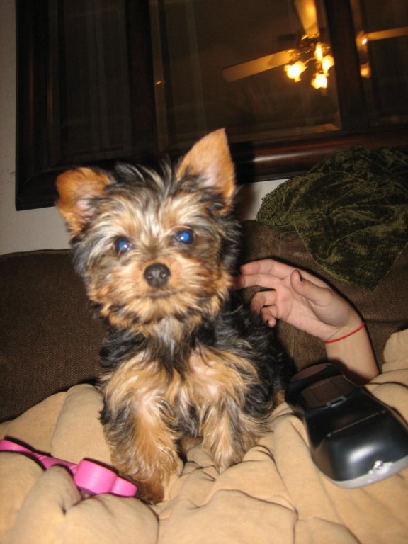 [wZ-pqRLRjA2DXh6TsR2FbFjf2sJDGUL20300.jpg]